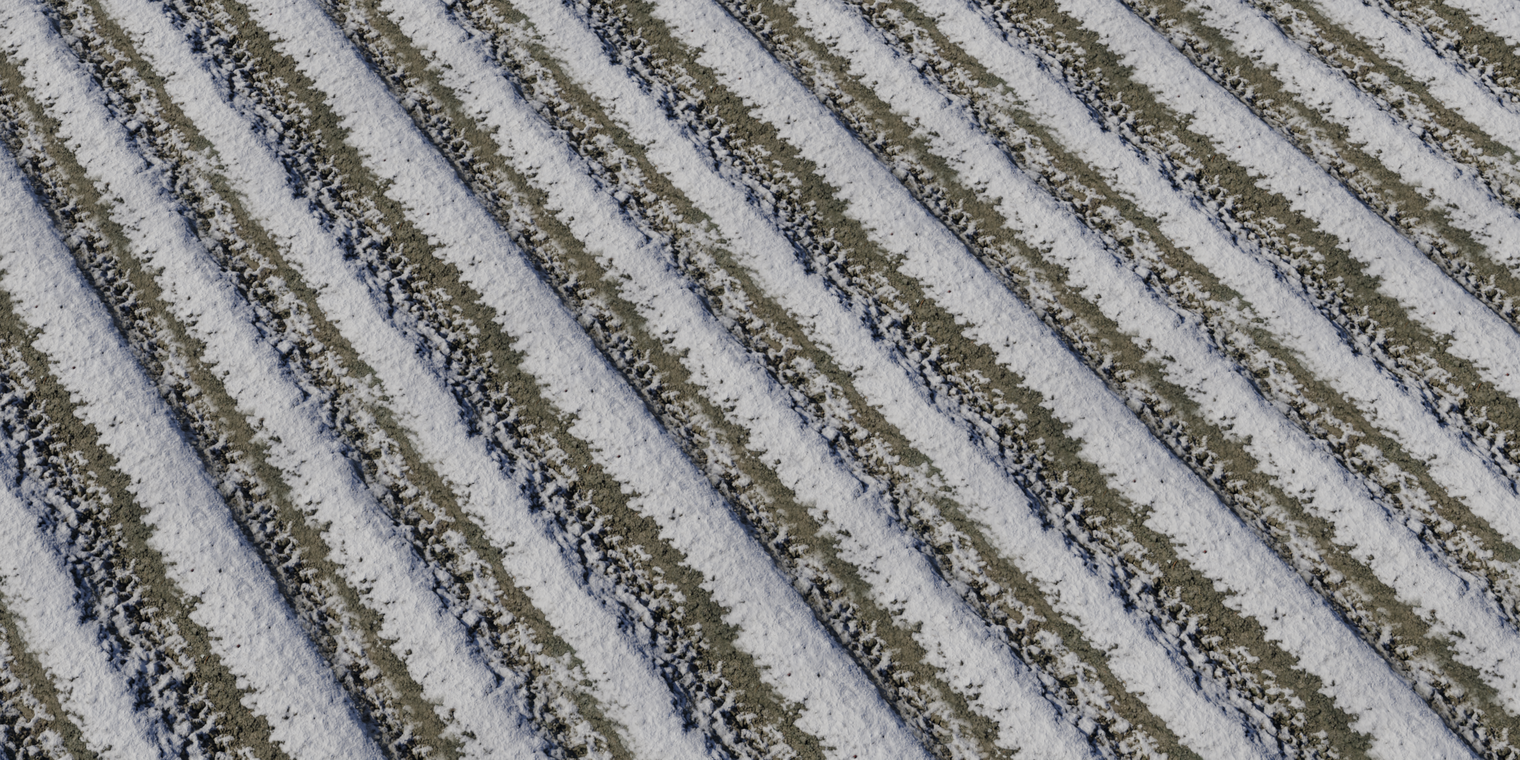Snow 4