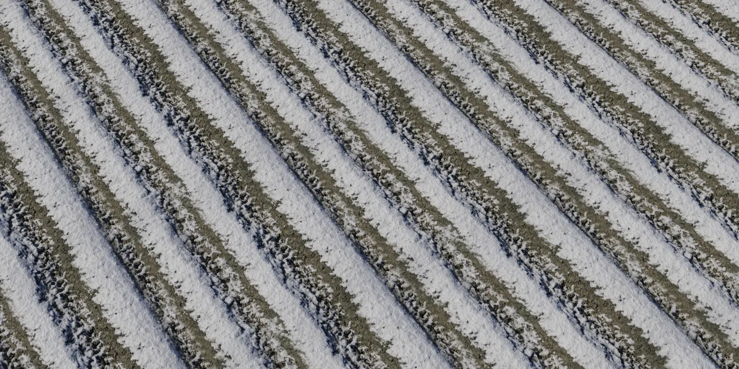 Snow 4 — preview 1, by Rob Tuytel (Poly Haven, CC0)
