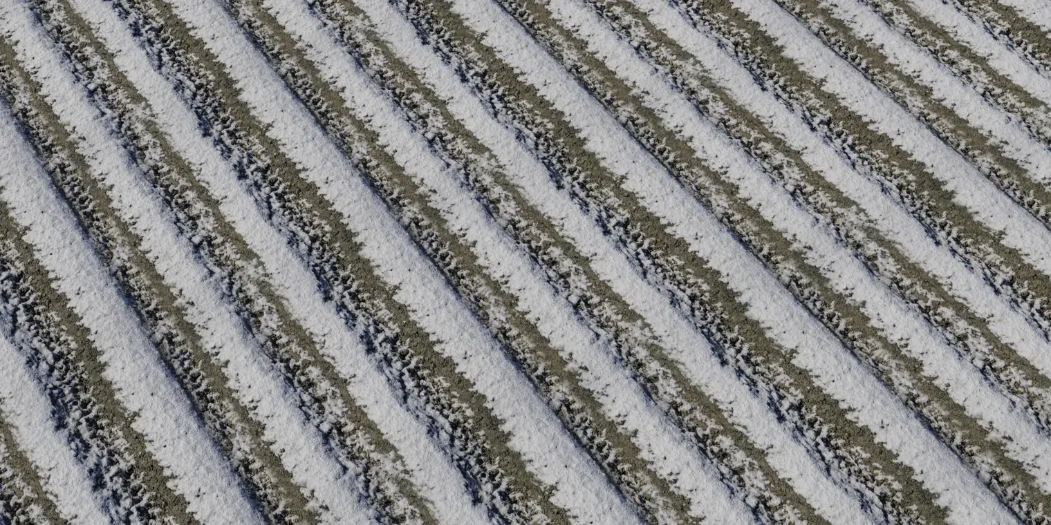 Snow 4