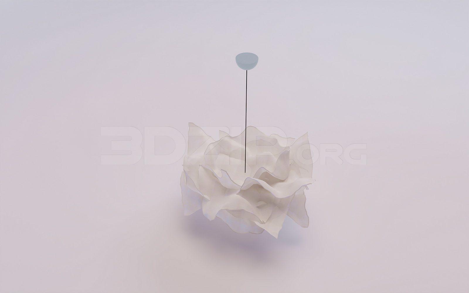 Ceiling Light