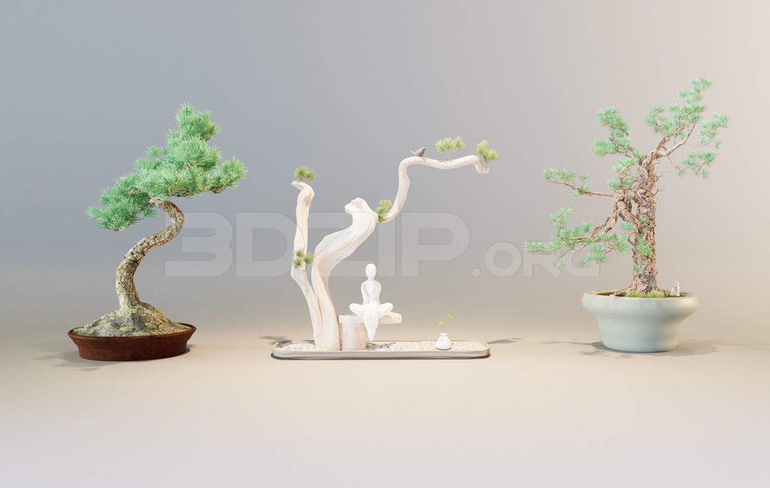 Bonsai trees