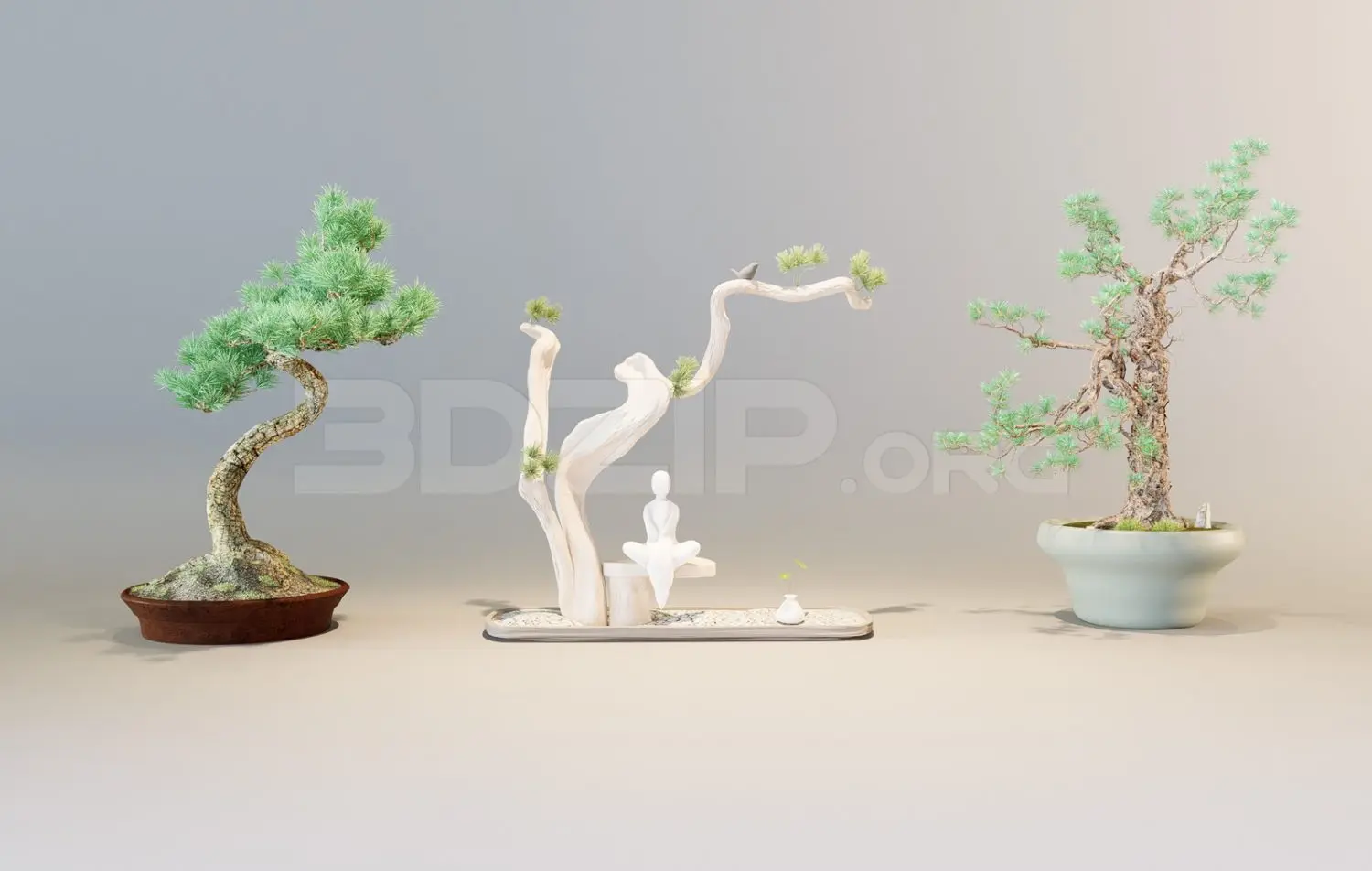 Bonsai trees