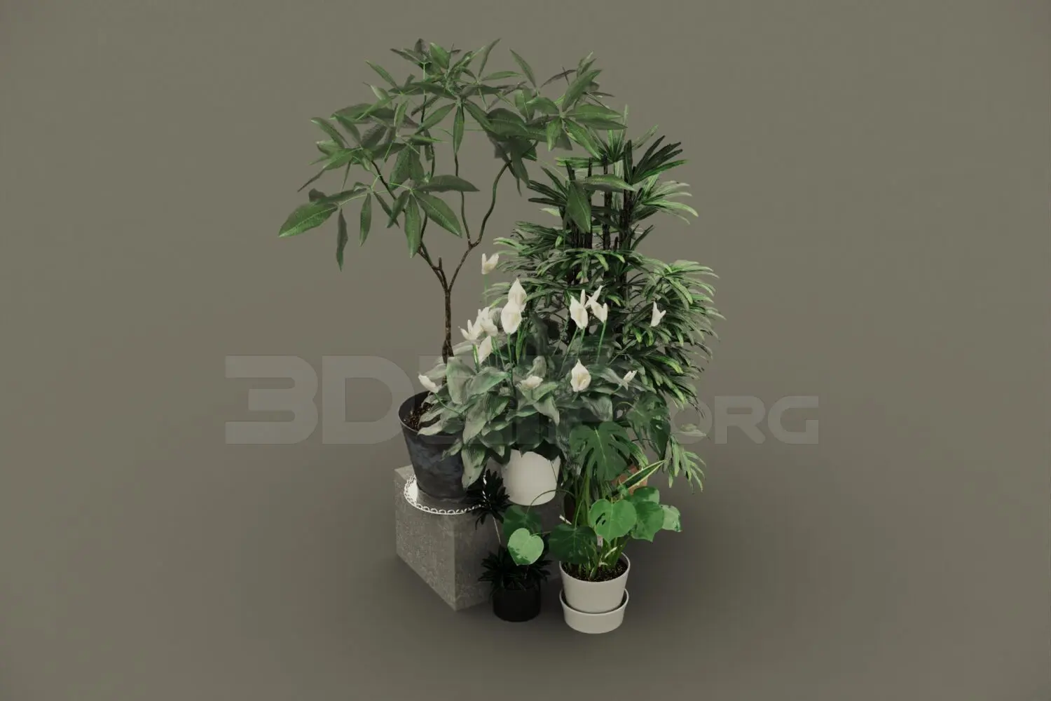 Plant — preview 1, by An Nguyen (3dzip)