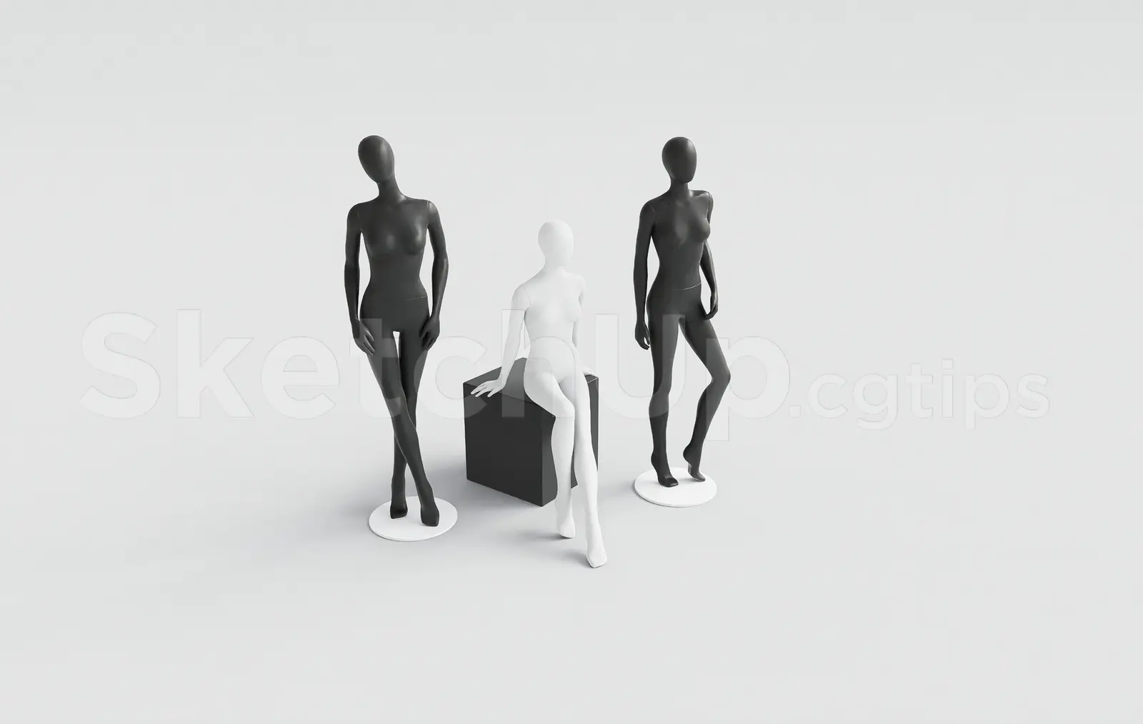 Modern Female Display Mannequins Black and White