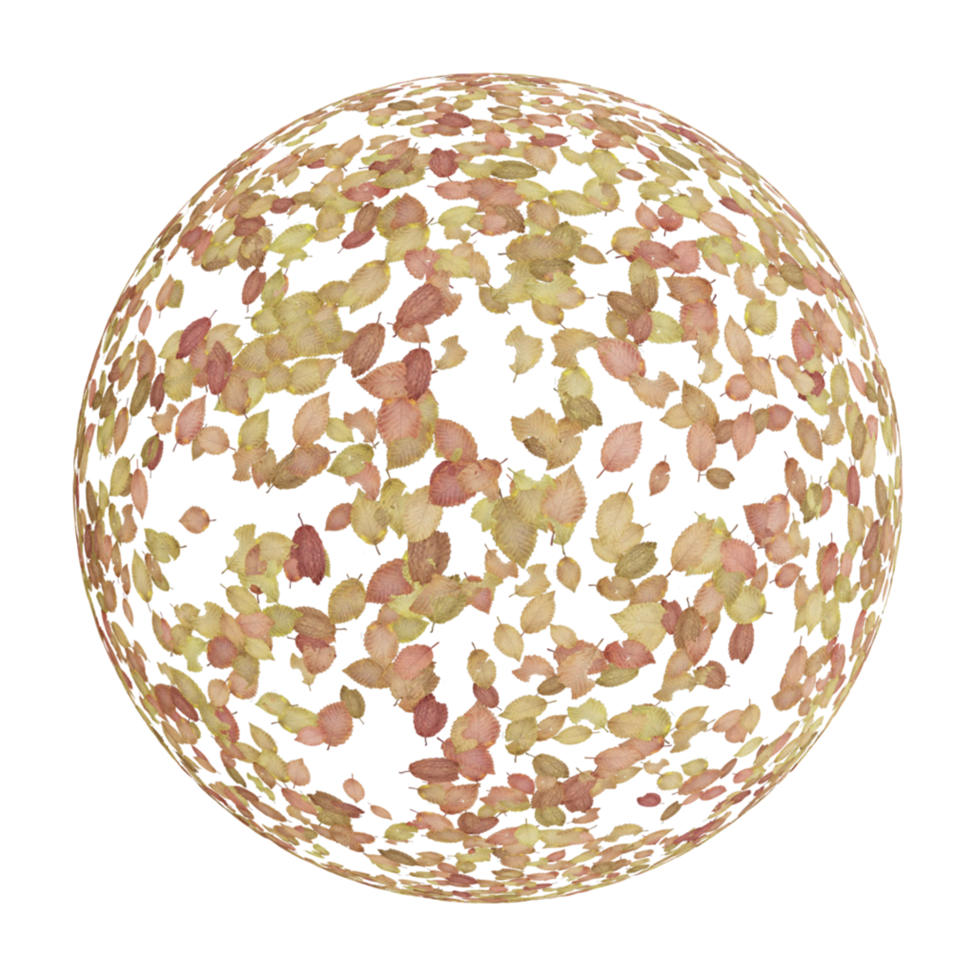 Scattered Leaves 007