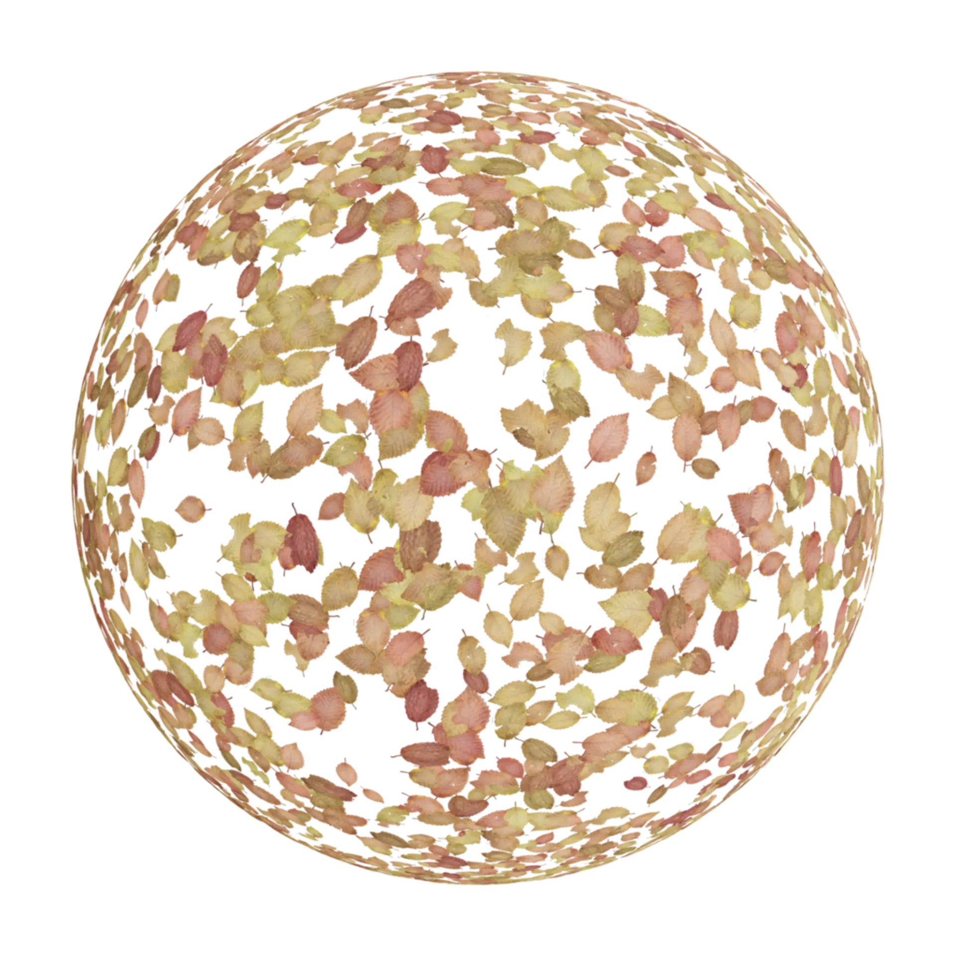 Scattered Leaves 007