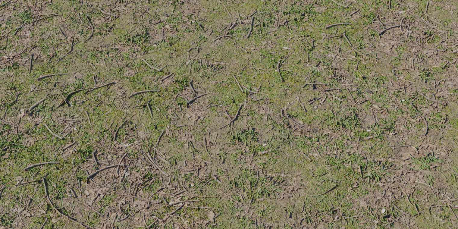 Forest Ground 1