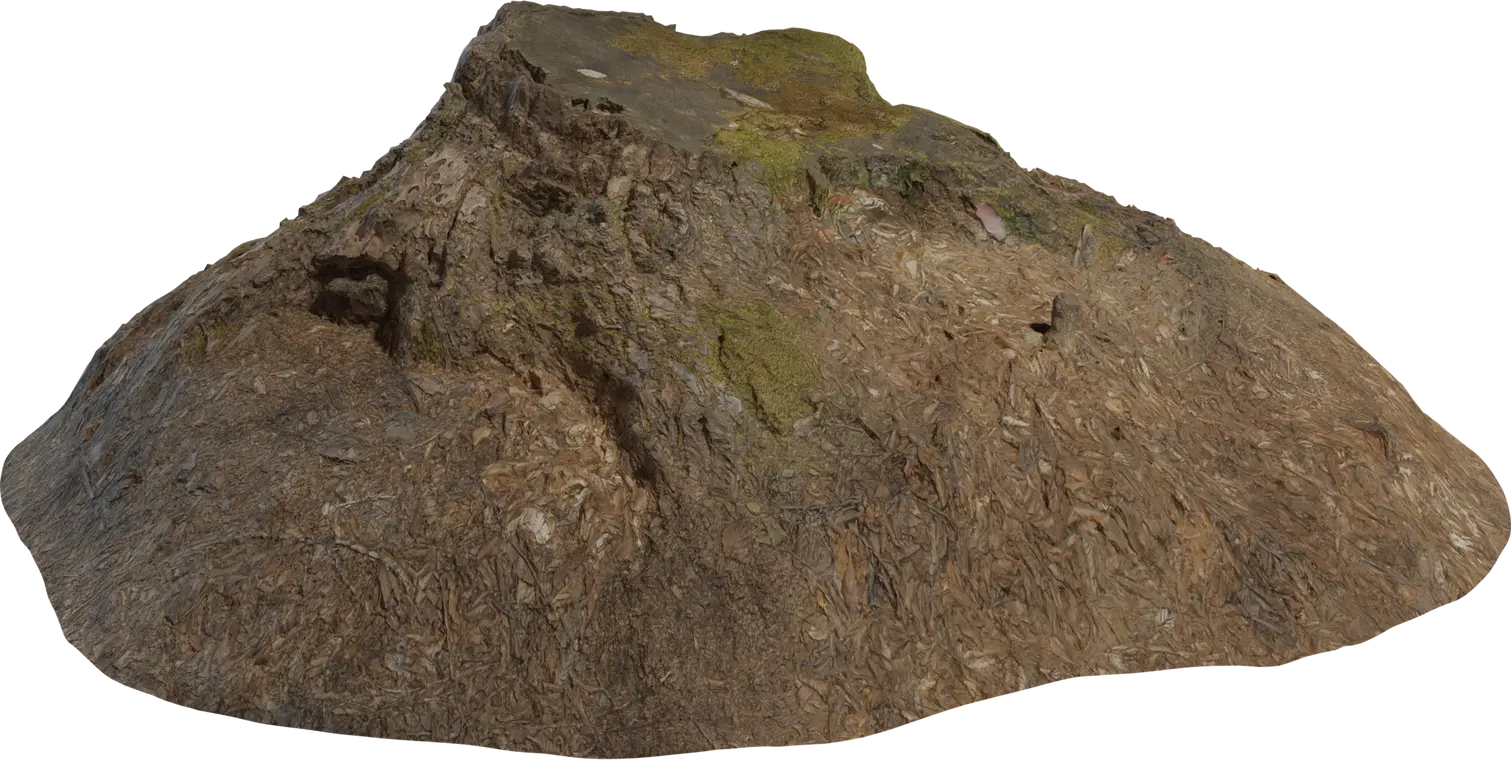Decayed Mossy Tree Stump with Leaf Litter — side profile of a weathered tree stump with moss and leaf litter