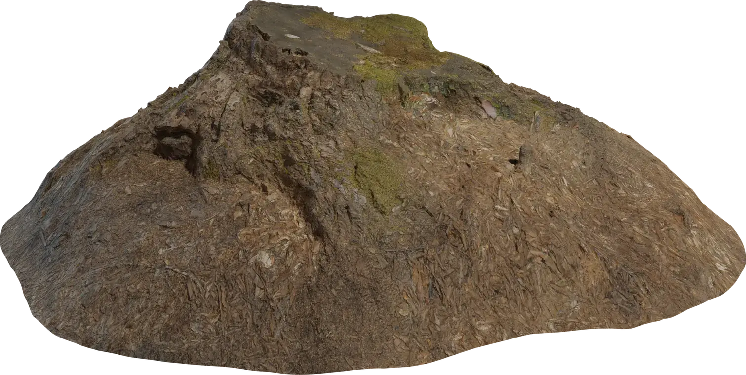 Tree Stump 2