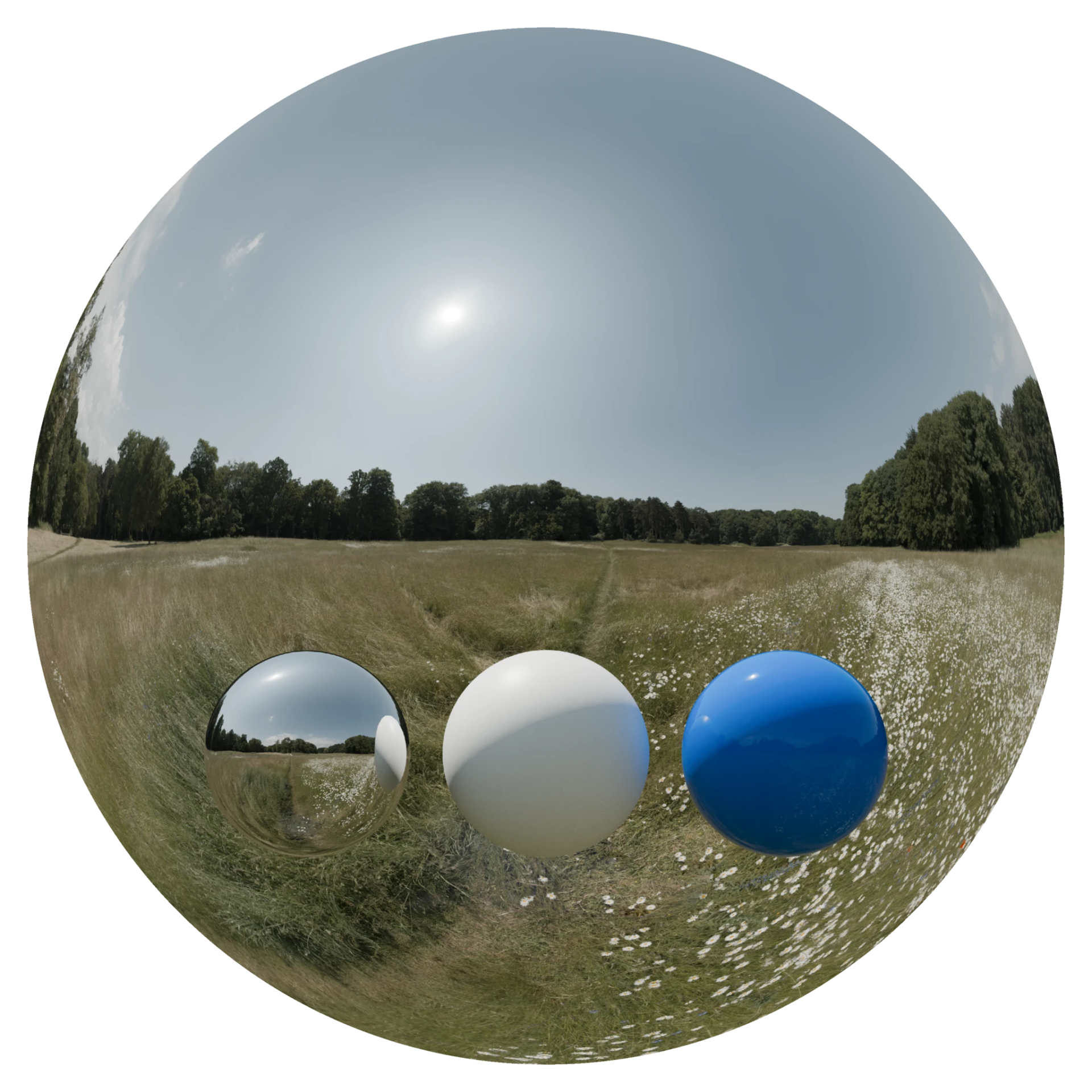 Day Environment HDRI 105