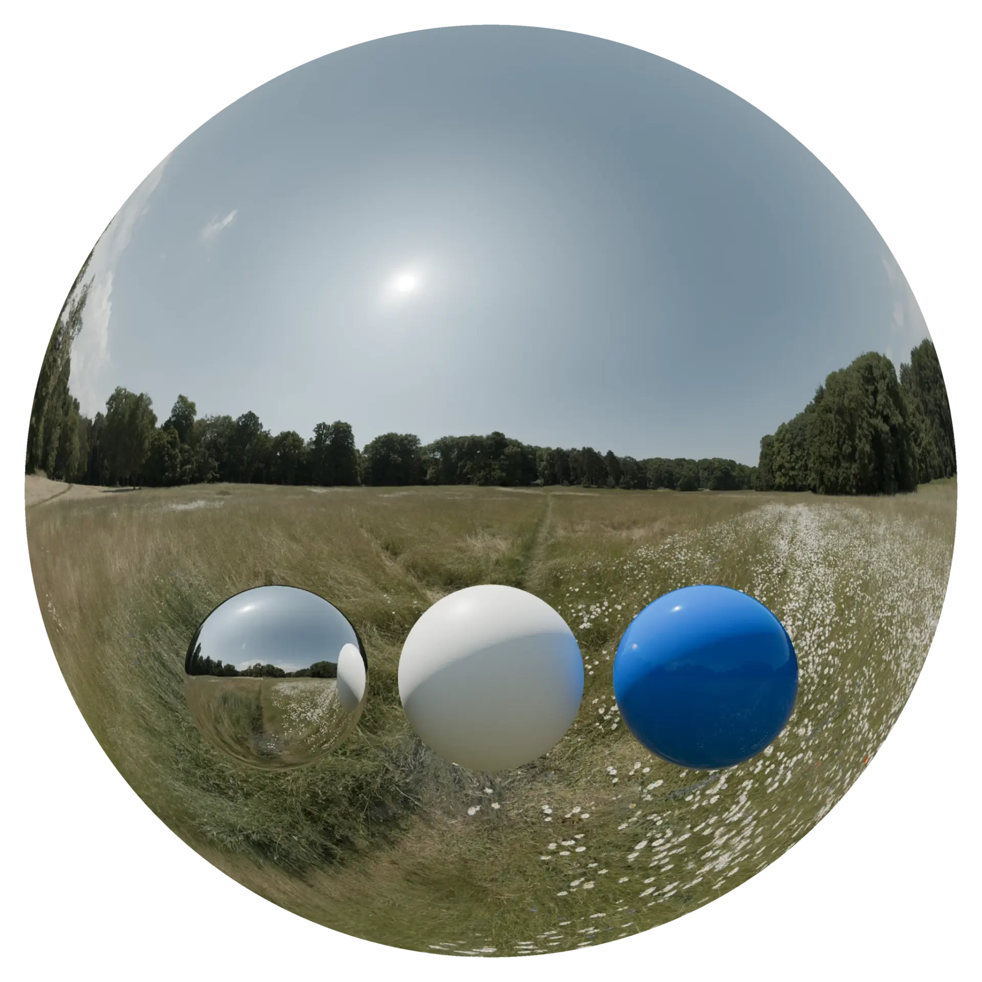 Day Environment HDRI 105 — preview 1 (ambientCG, CC0)