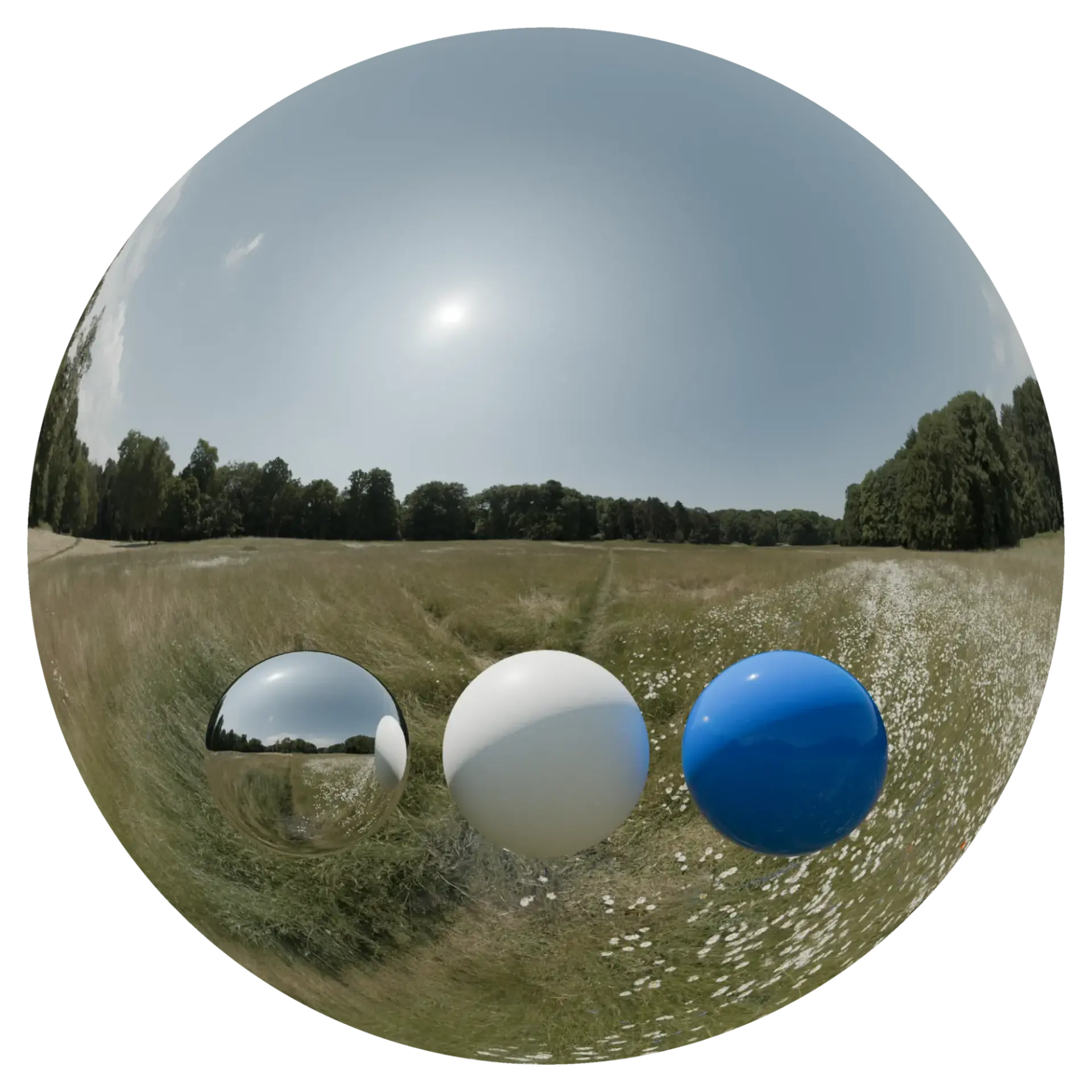 Day Environment HDRI 105