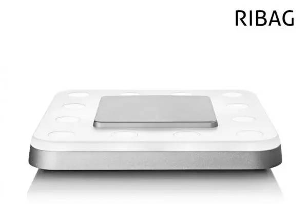 RIBAG square mounting lamp — preview 1, by ruppli (RevitCity, CC0)