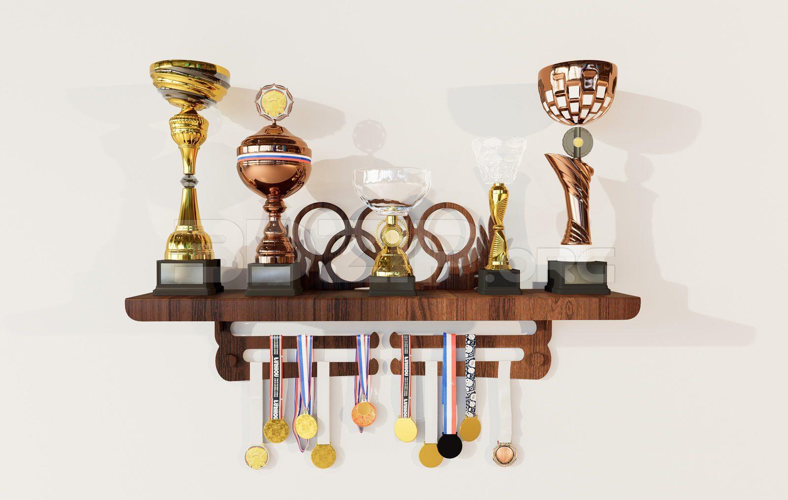 Various Types Of Trophies And Cups