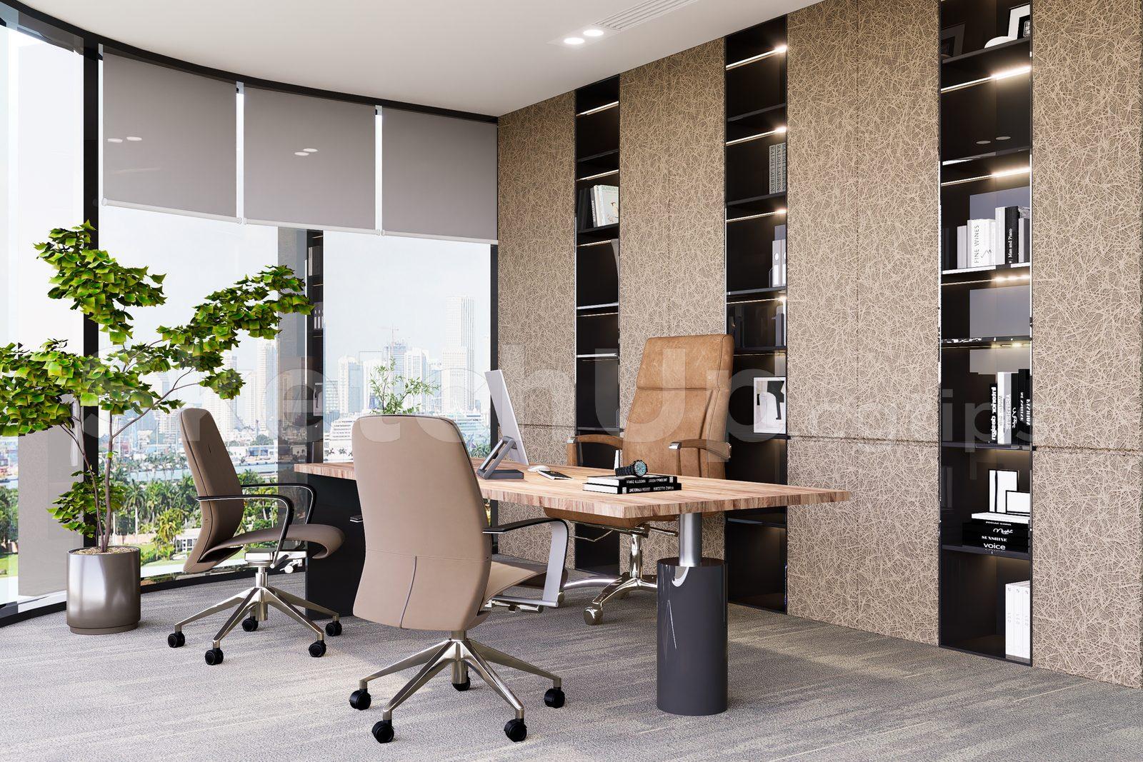 Director Office Interior