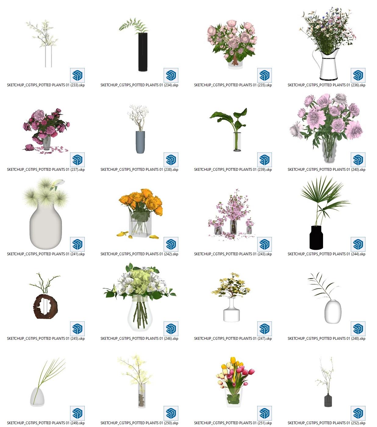 Potted Plants