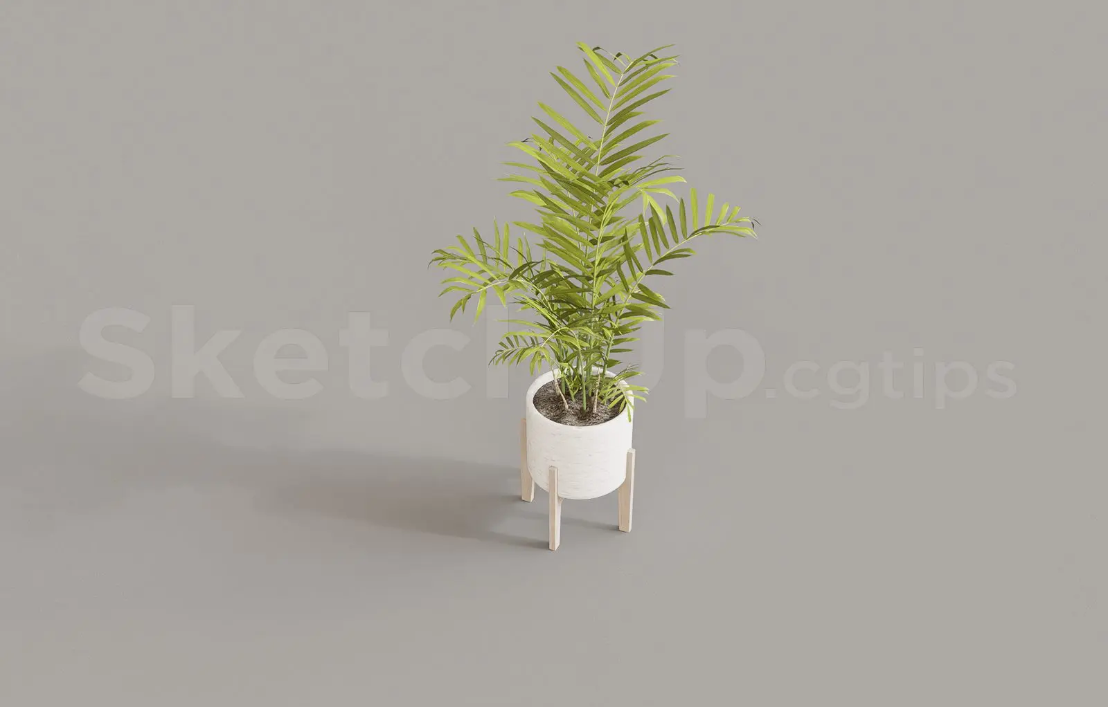 Plant