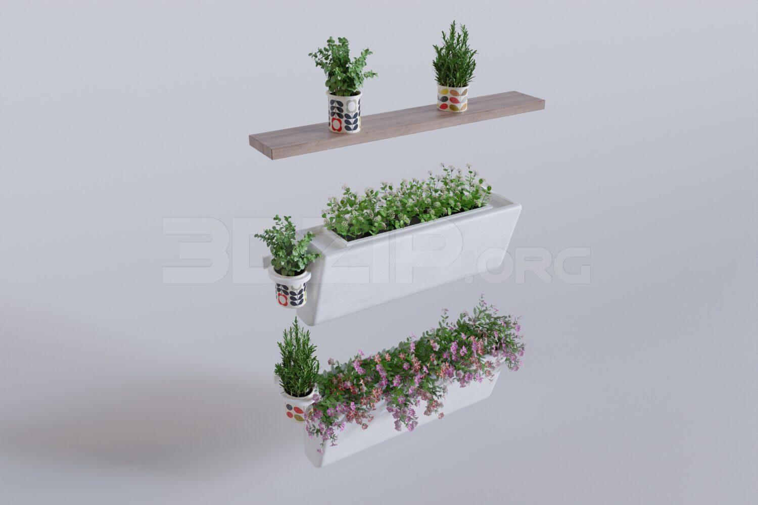 Plant