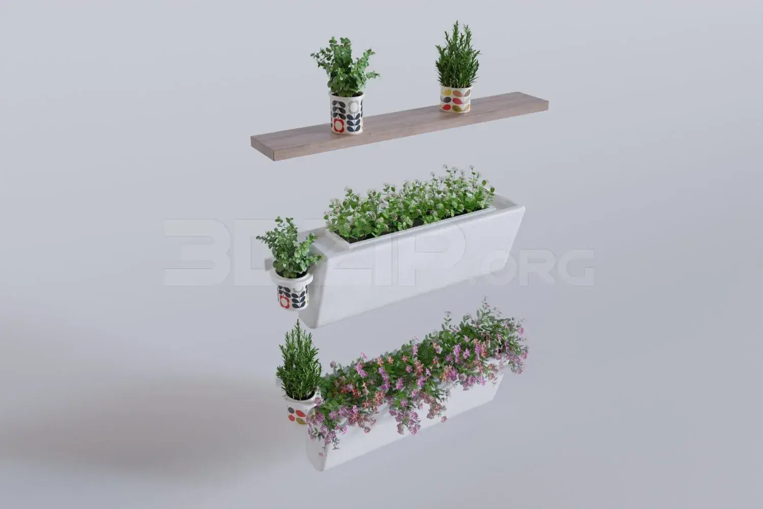 Plant