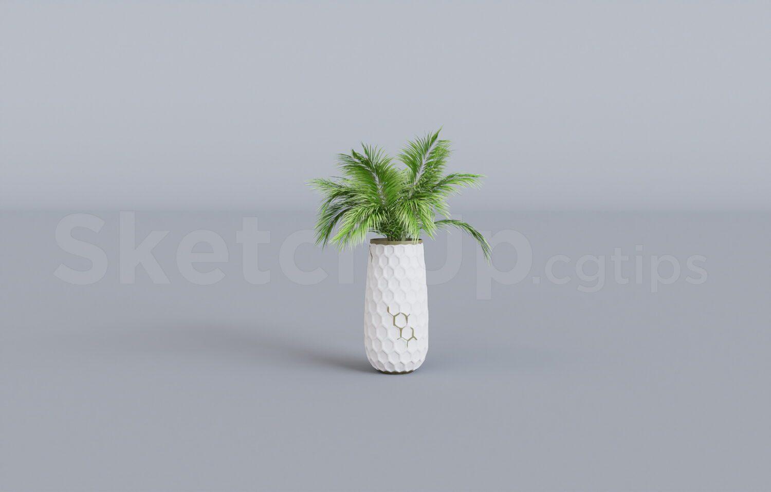Plant
