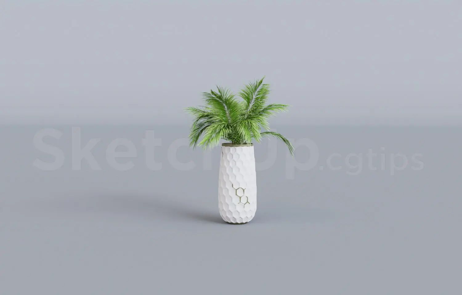 Plant