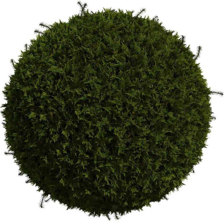 Moss 1 — preview 1, by Rob Tuytel (Poly Haven, CC0)