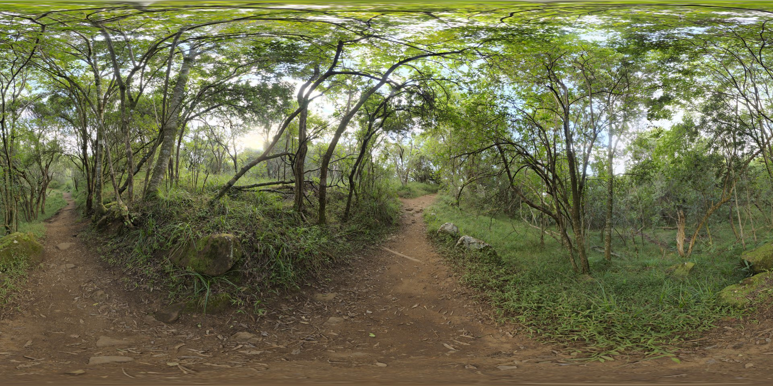 Monk'S Forest