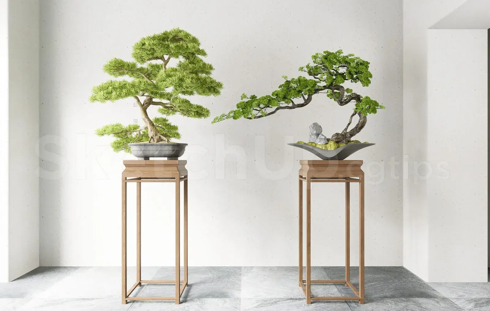 BonSai Tree