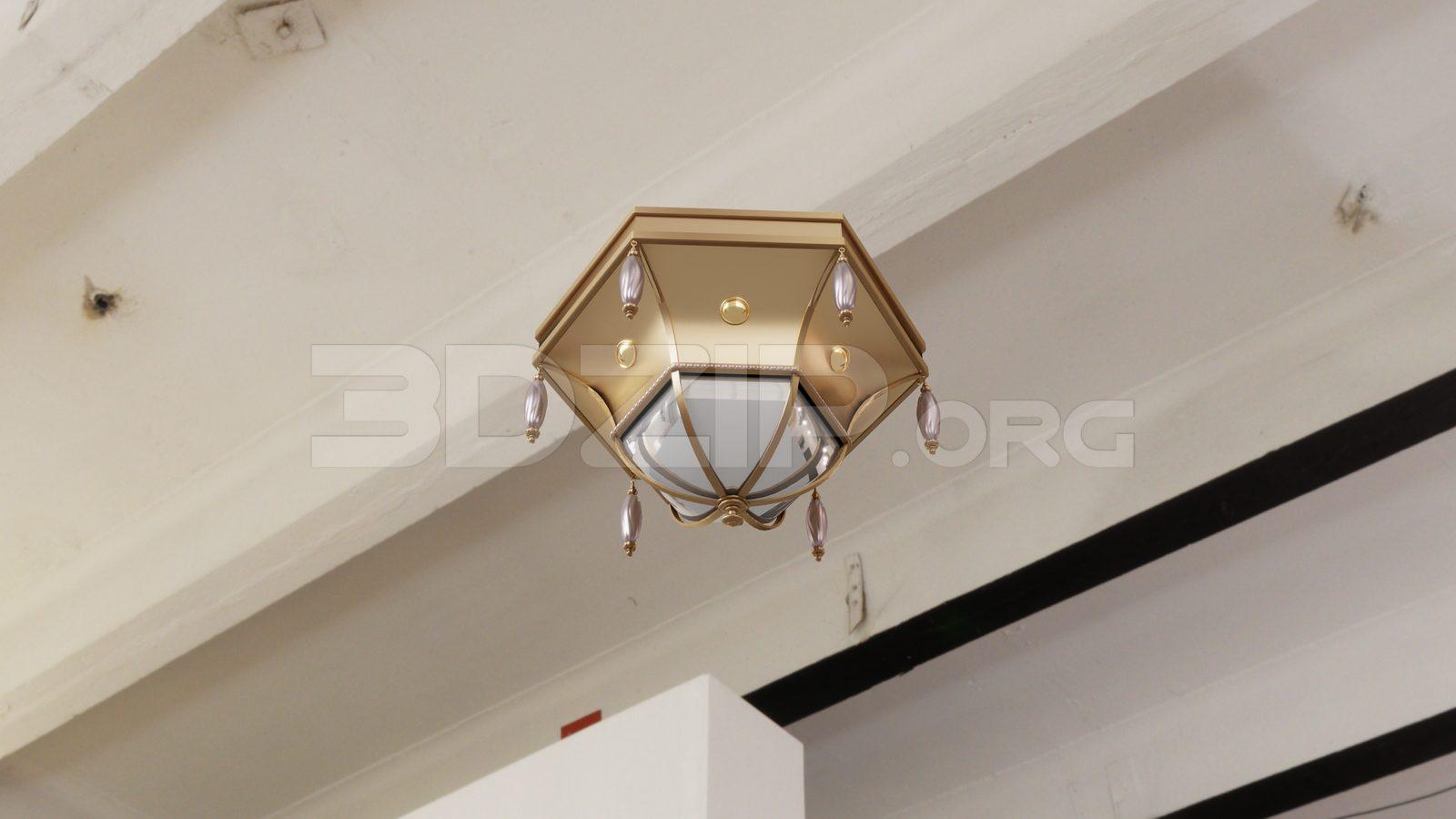 Ceiling Light