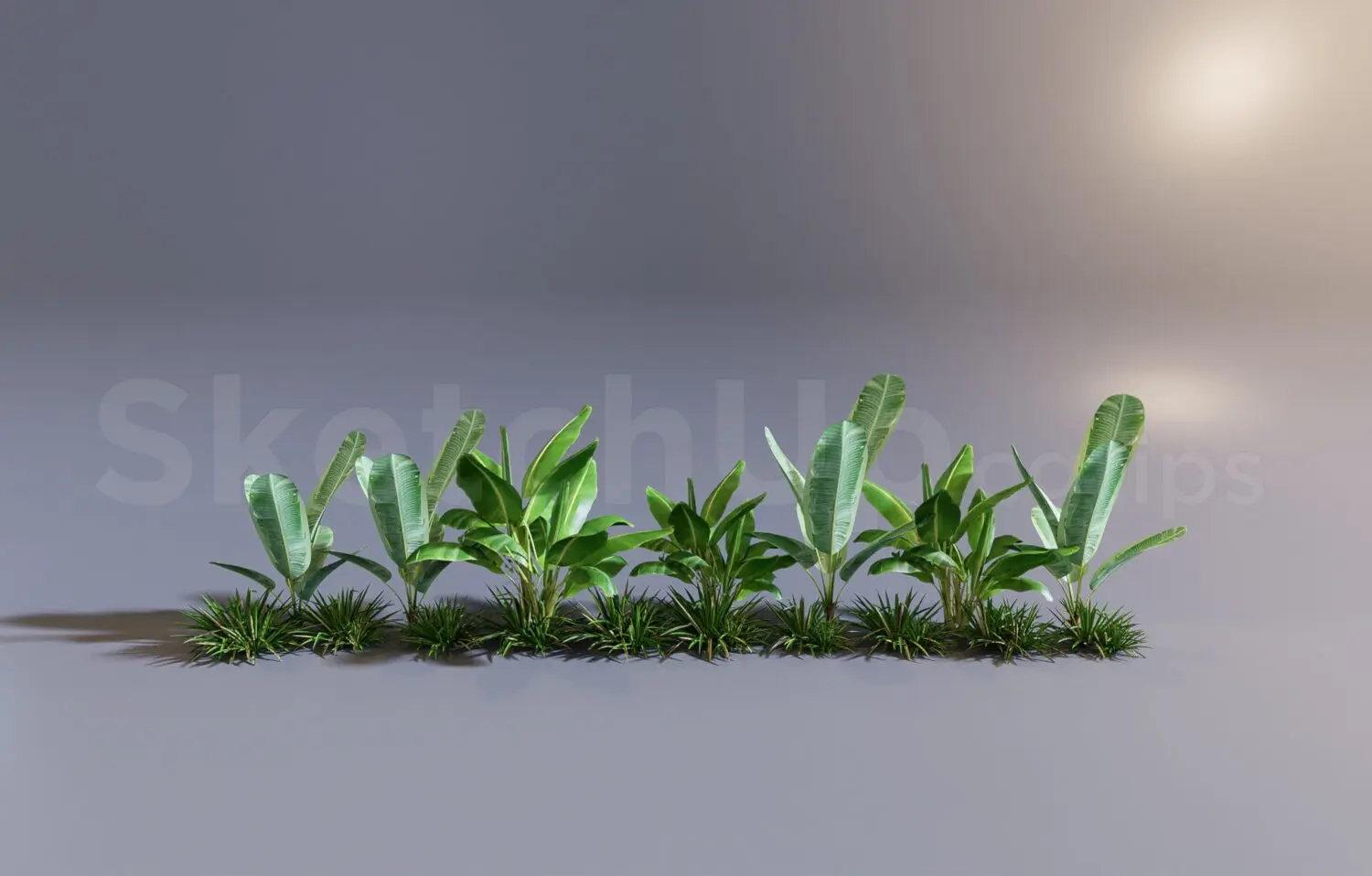 Plant — preview 1 (cgtips, CC0)