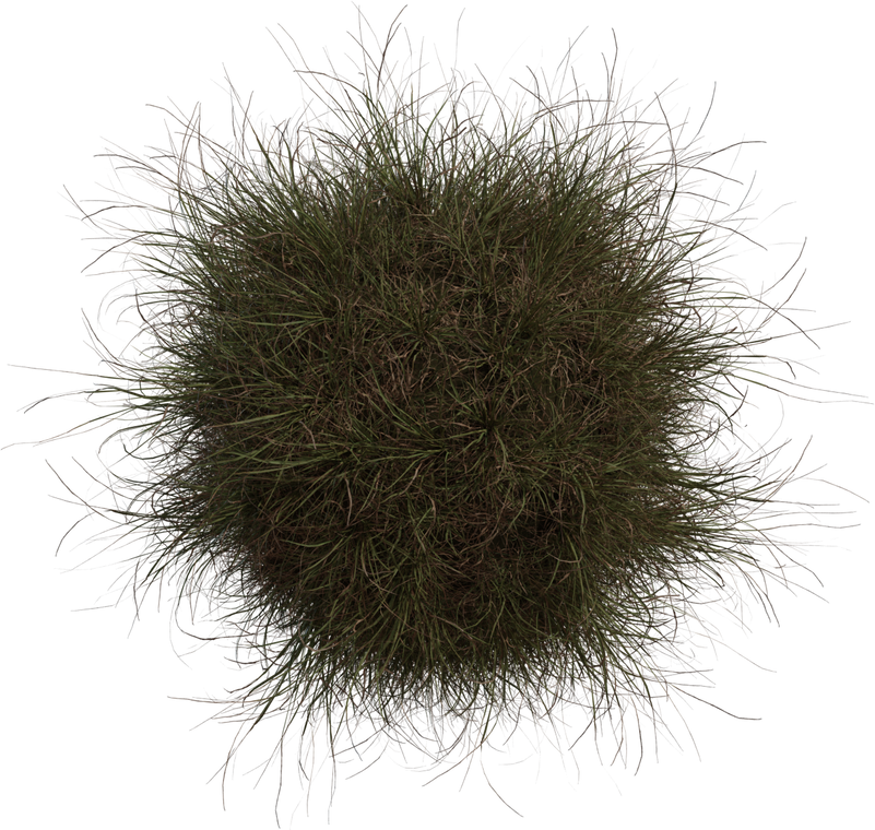 Grass Medium 2