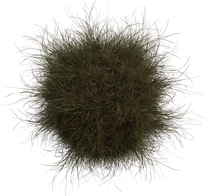 Grass Medium 2