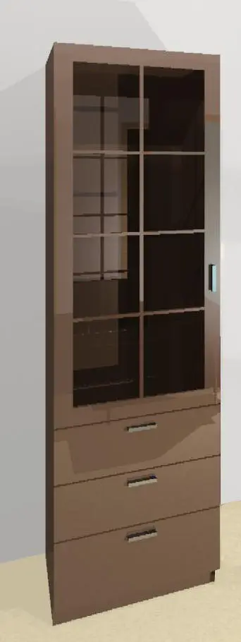 Custom Display cabinet