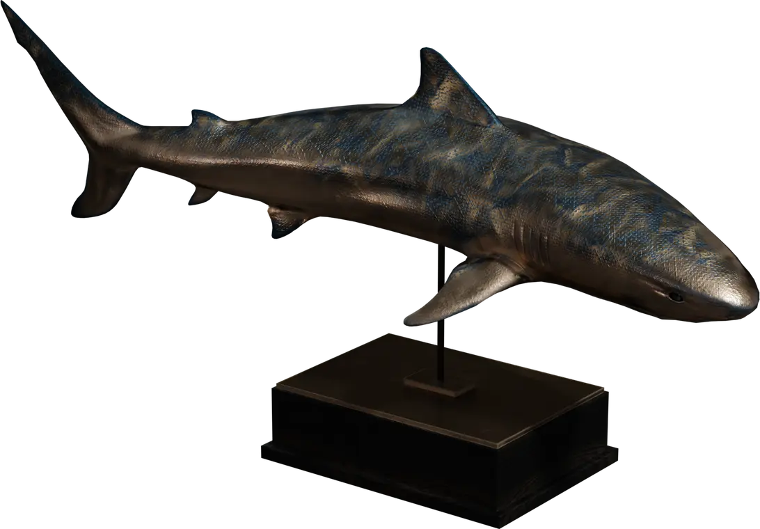 Bronze Shark Statue — preview 1, by Tina (Poly Haven, CC0)