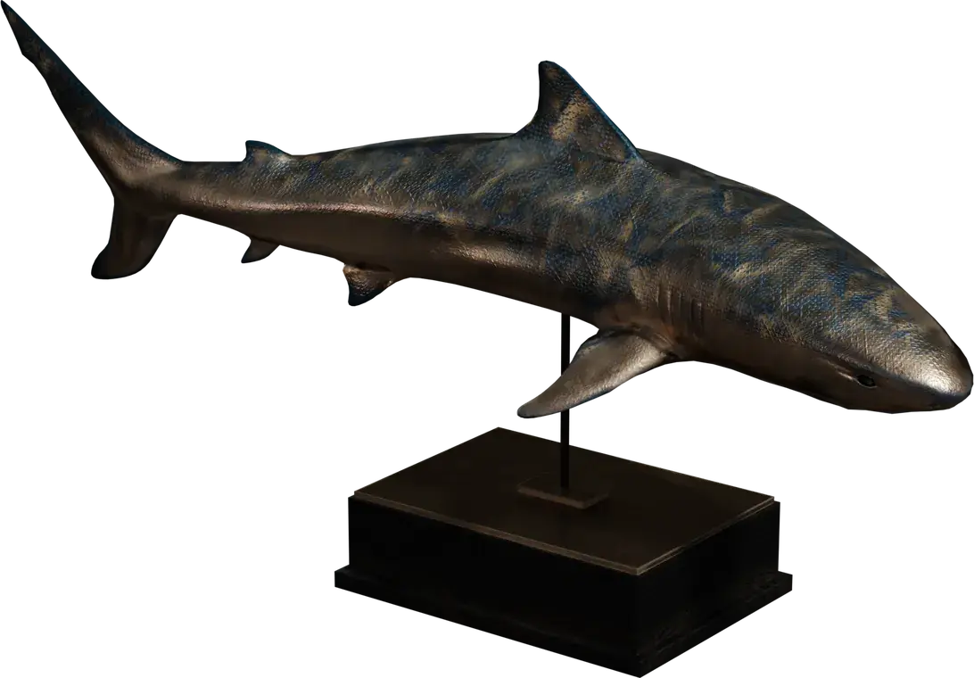 Bronze Shark Statue