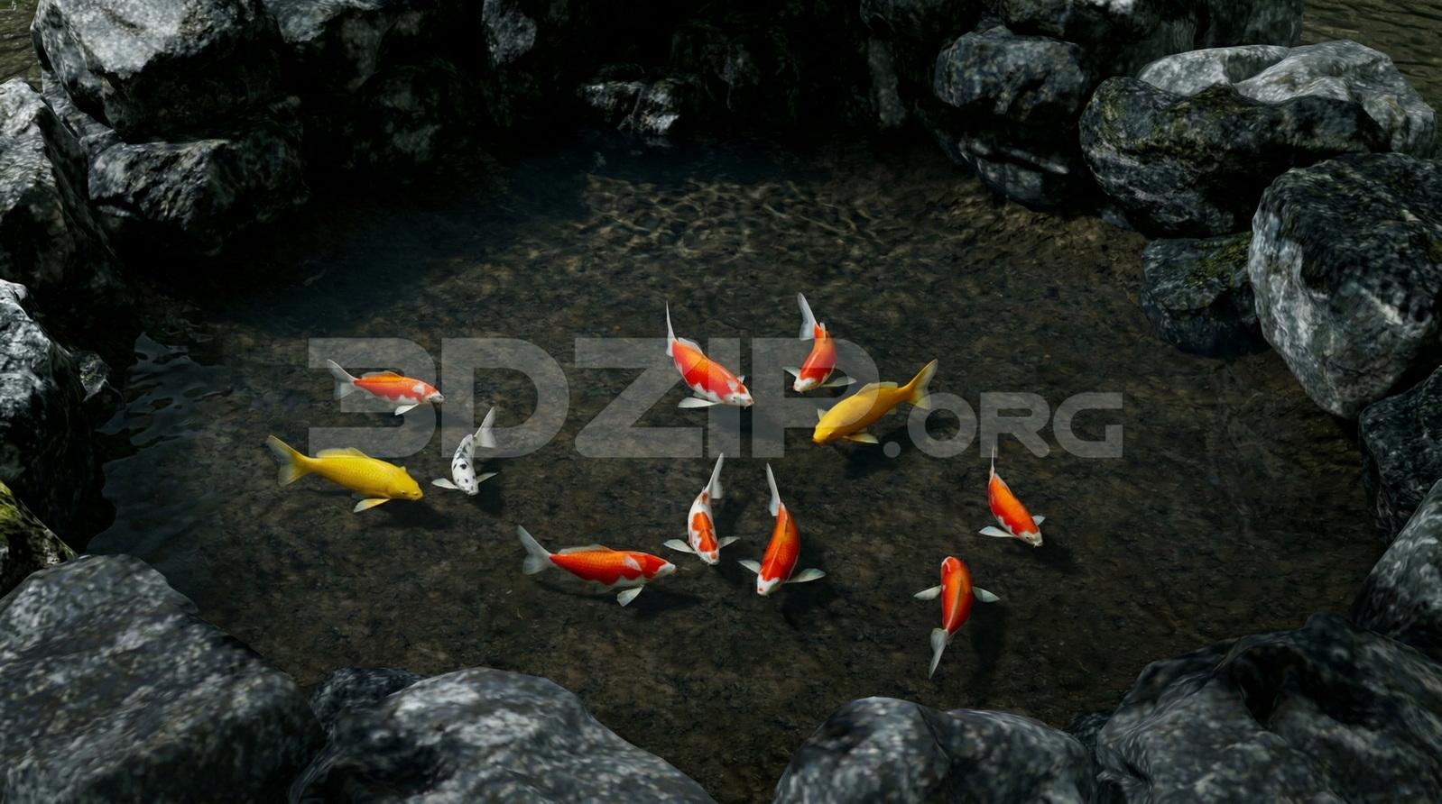 Japanese Koi Pond with Natural Stone Surroundings and Crystal Clear Water Render