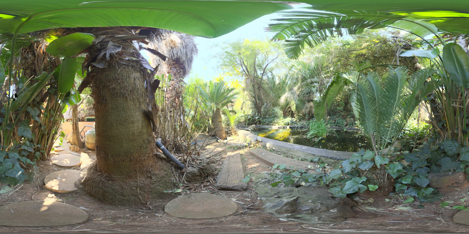 Pond