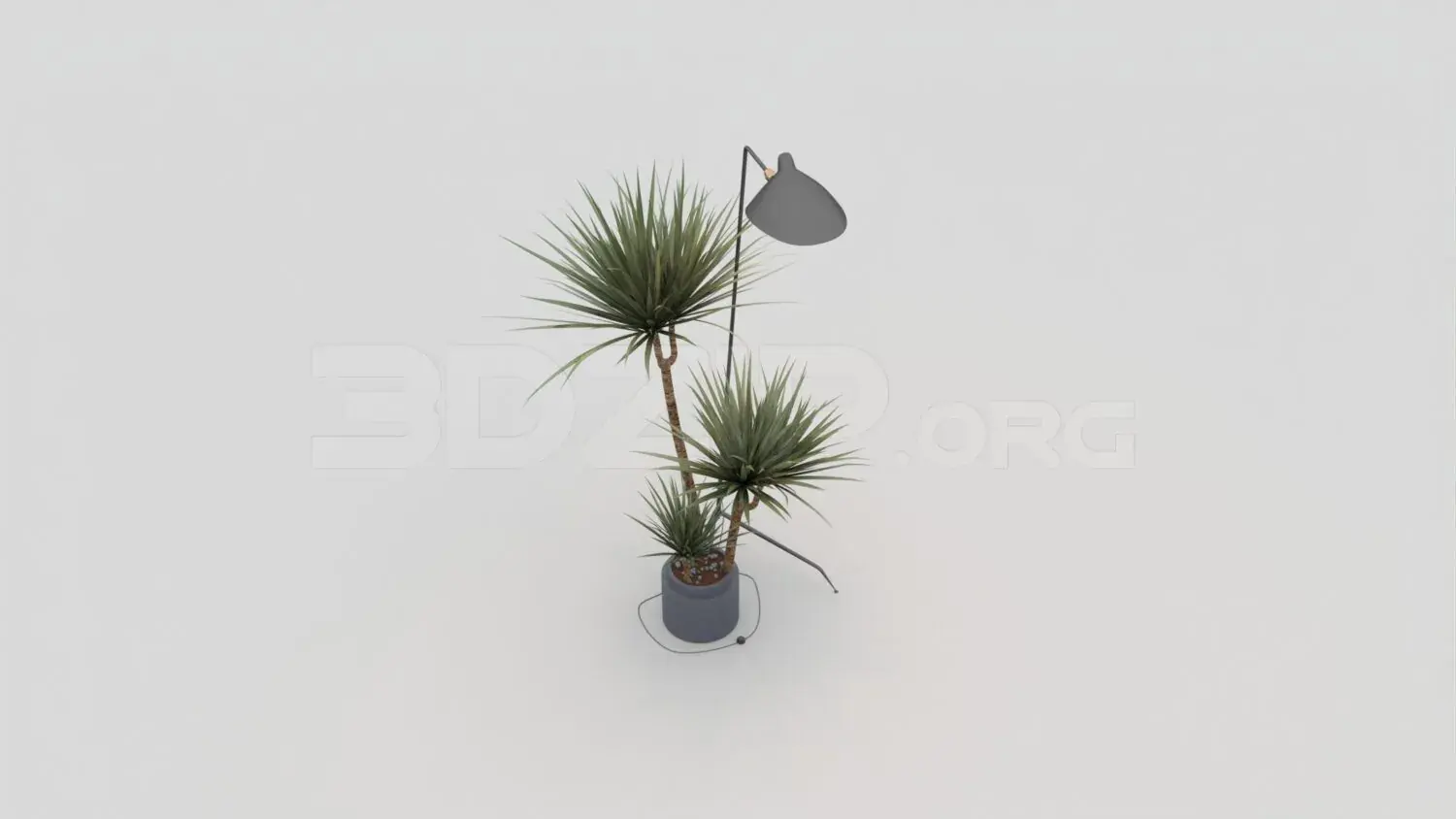 Plant