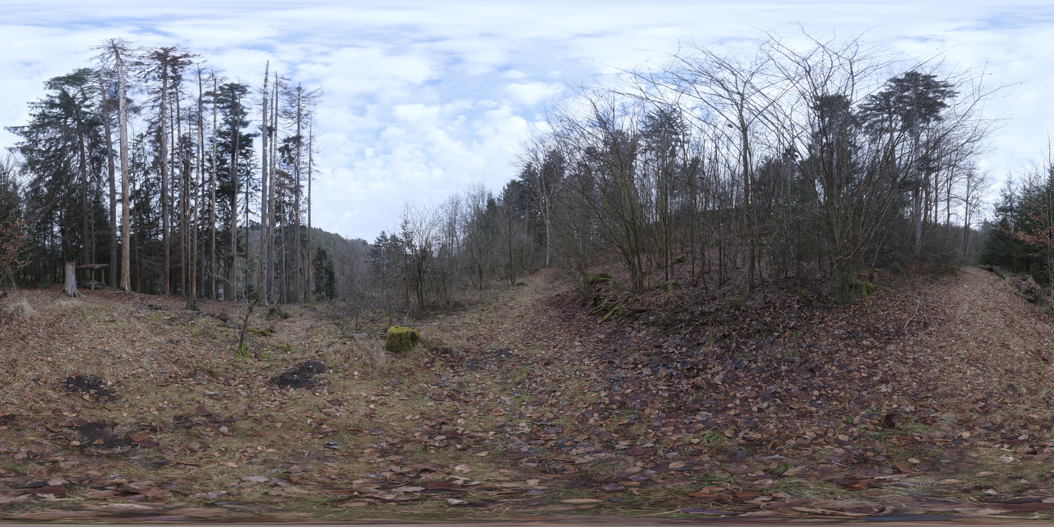 Schachen Forest
