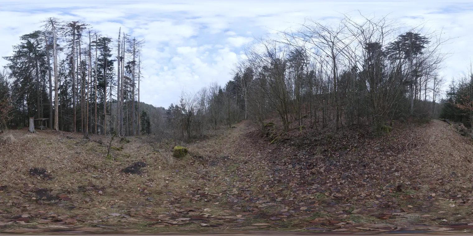 Schachen Forest — preview 1, by Adrian Kubasa (Poly Haven, CC0)