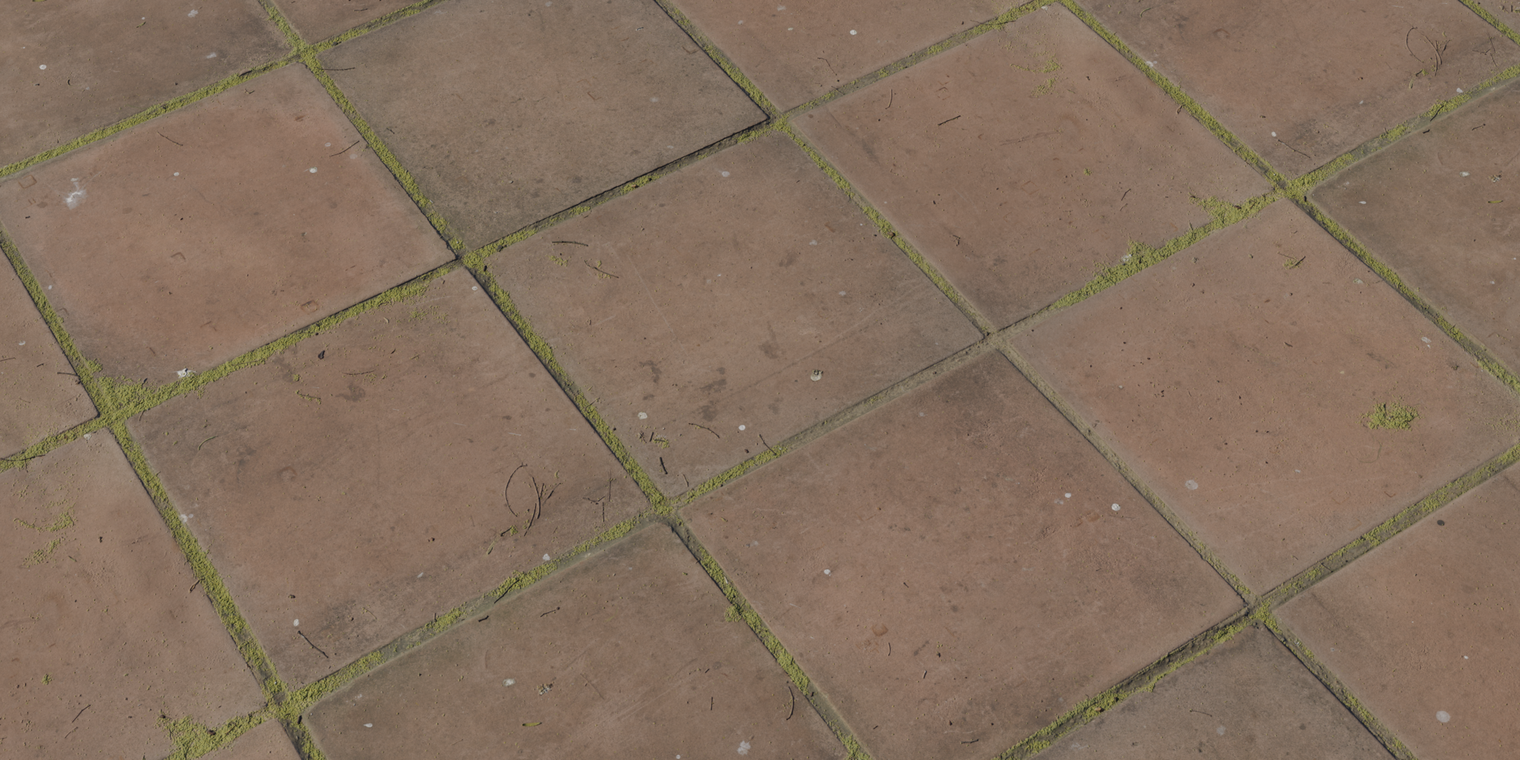 Overgrown Concrete Pavers