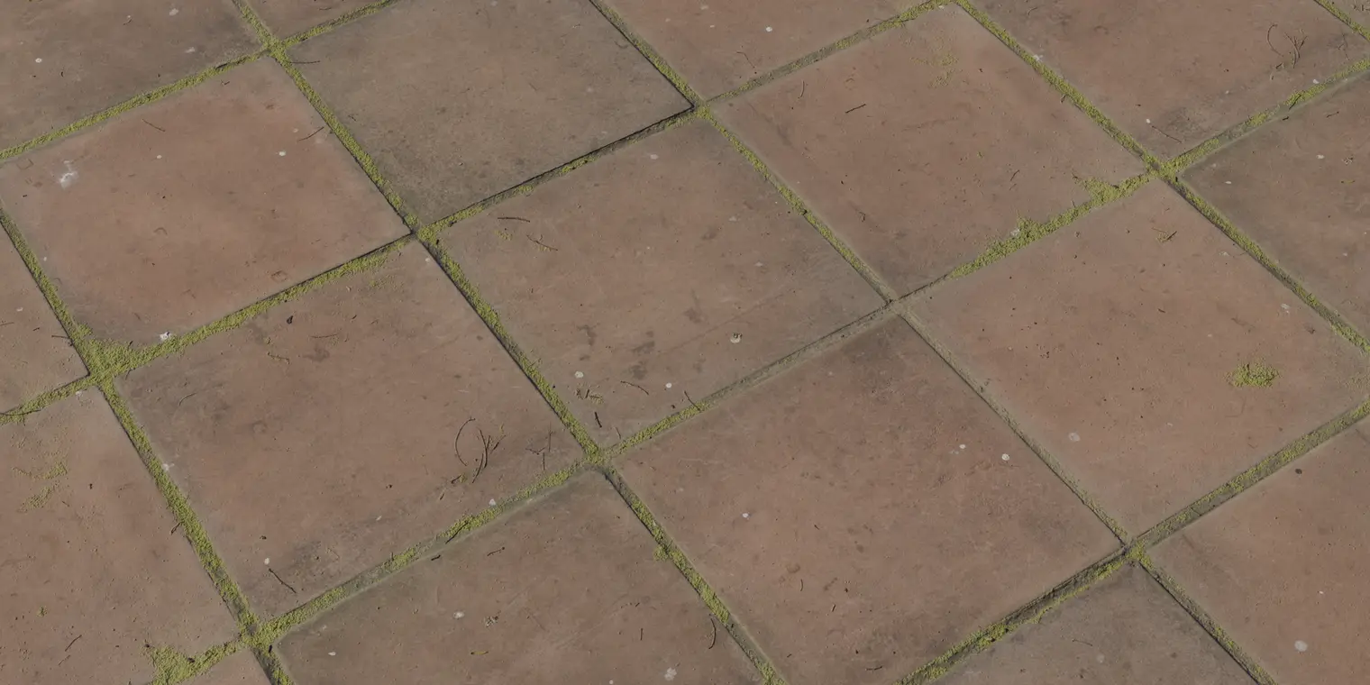 Overgrown Concrete Pavers