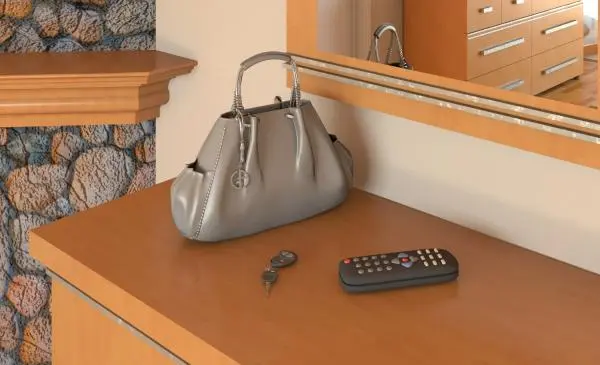 Purse hand bag