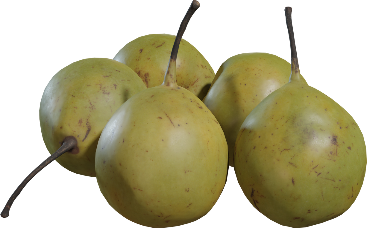 Pears Asian 1