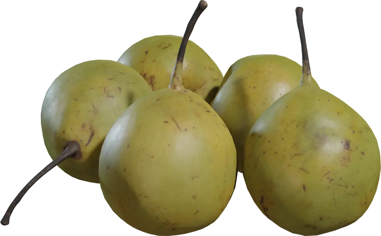 Pears Asian 1