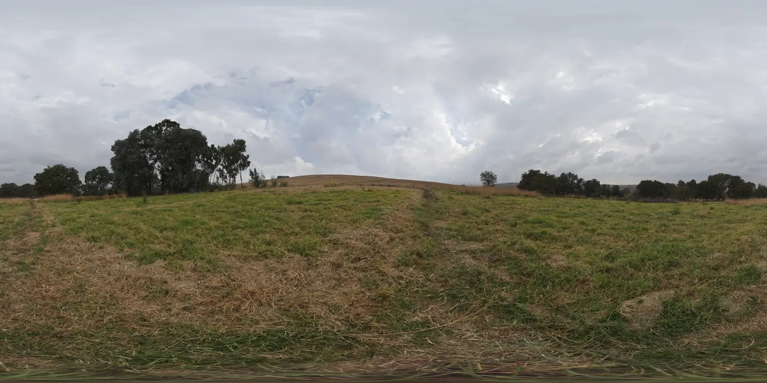 Belfast Open Field