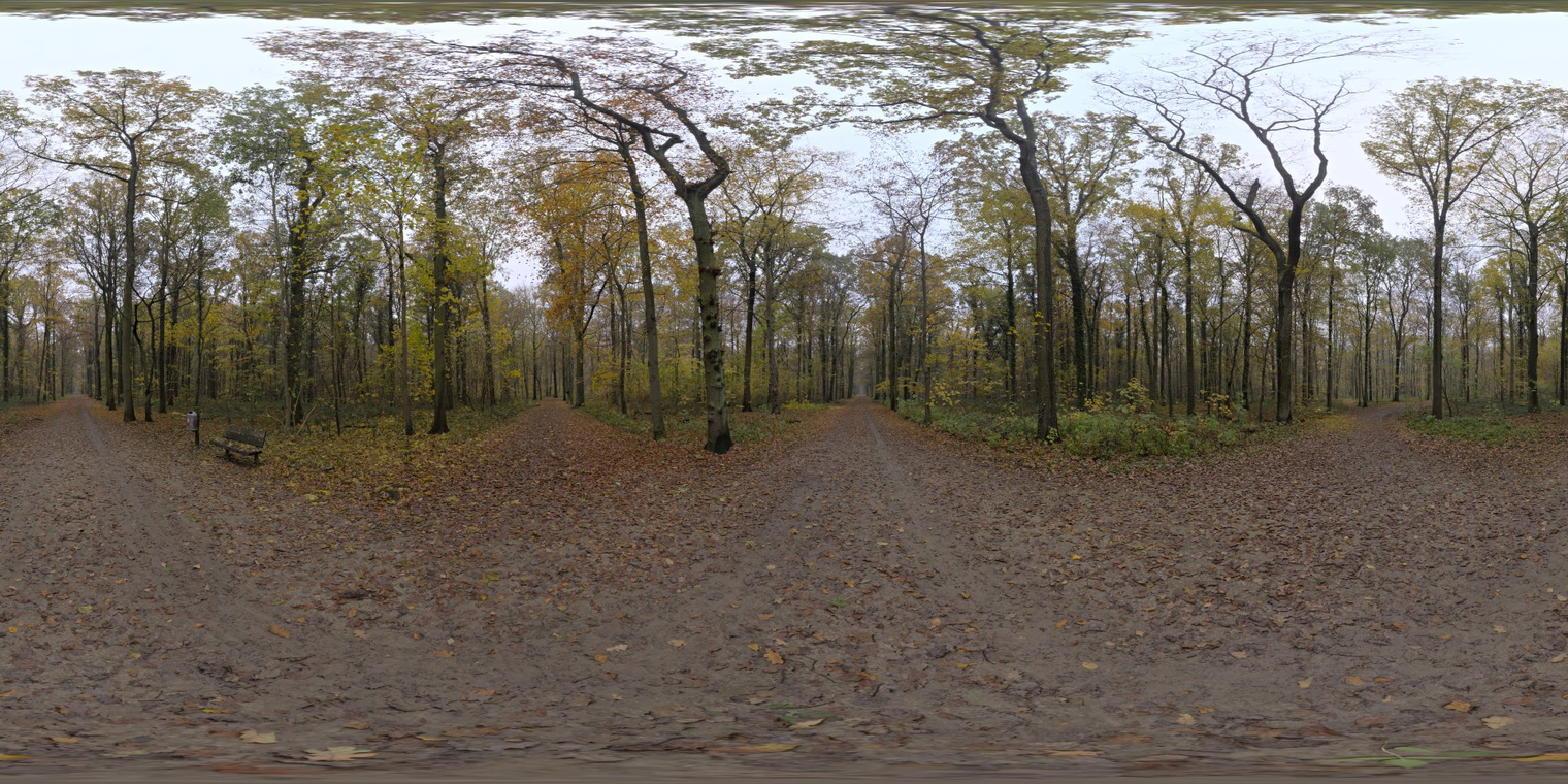 Autumn Crossing