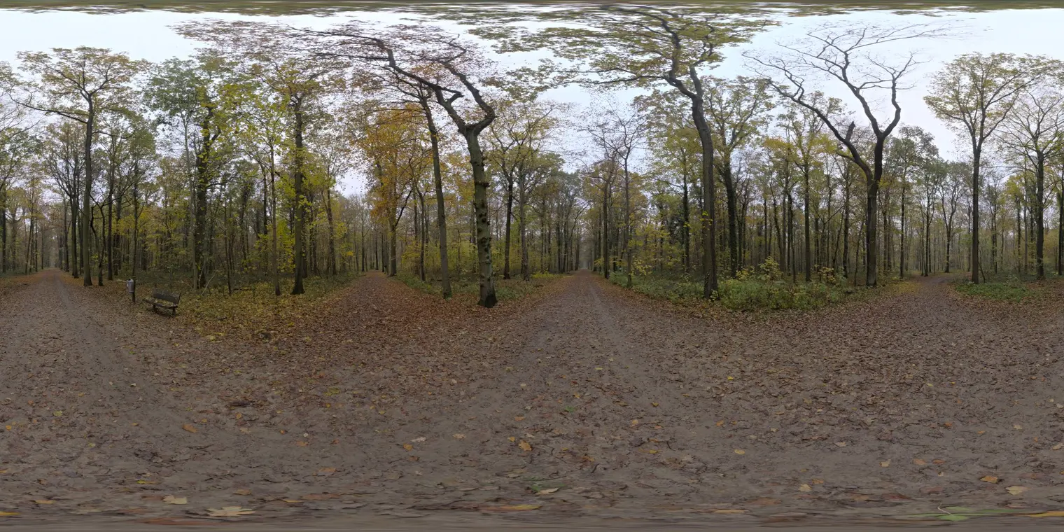 Autumn Crossing