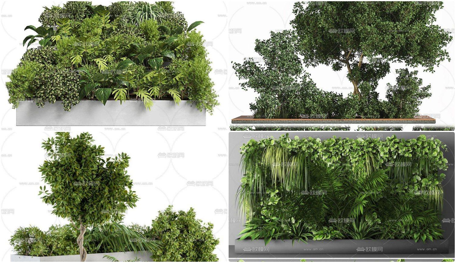Plants Model 419