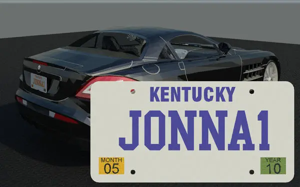License Plate